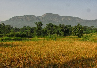 Gumtara-Fort