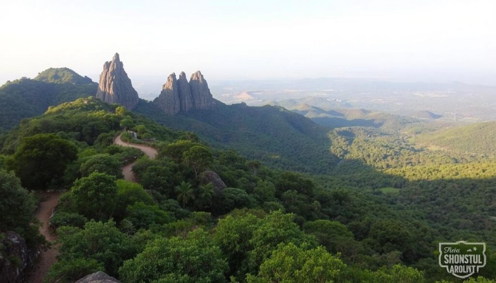 A rugged, lush landscape in Maharashtra's Kalsubai-Harishchandragad Wildlife Sanctuary. In the foreground, a winding mountain trail snakes through dense, verdant forests teeming with diverse flora and fauna. Towering, rocky peaks loom in the middle ground, their jagged silhouettes casting dramatic shadows in the soft, golden light of dusk. In the distance, a sprawling expanse of rolling hills and valleys, blanketed in a patchwork of deep greens and earthy tones. The scene exudes a sense of tranquility and wonder, inviting the viewer to explore the sanctuary's rich ecological tapestry.
