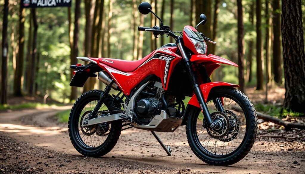 Honda CRF300L upcoming trekking bike in India 2025 with rally-inspired design Honda CRF300L upcoming trekking bike in India 2025 with rally-inspired design